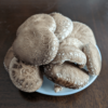 Fresh Organic Oak Log Shiitake Mushrooms: A Taste of the Forest